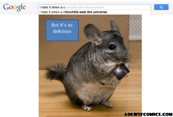 chinchilla research papers chinchilla research papers