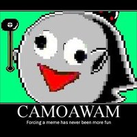 Camoawam