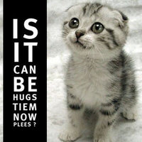 Is it can be hugs tiem now plees?