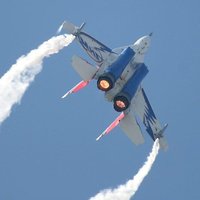 Thrust Vectoring Owns the Sky