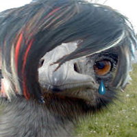 Emo Emu