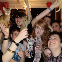 Boozecats