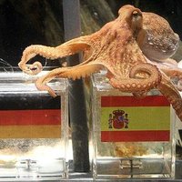 Paul The Octopus