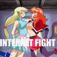 Internet Fight