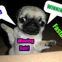 Winning Dog