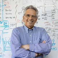 Engineering Professor