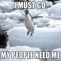 I Must Go