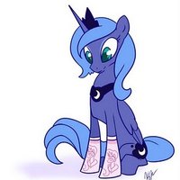Ponies in Socks
