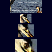 Uncle Ray/Pedo Pelican/Greedy Heron