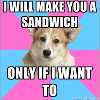 Critical Feminist Corgi