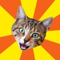 Bad Advice Cat