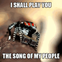 The Song of My People!