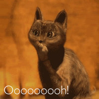 Ooh Cat
