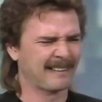 Mullet Whistler