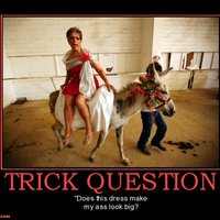 Trick Question