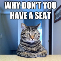 Chris Hansen Cat