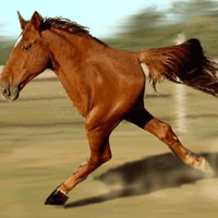 Retarded Running Horse / Two Legged Horse