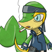 Pokefication / Pokefied Characters