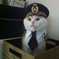 Captain Kitteh