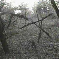 The Blair Witch