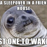Awkward Moment Seal