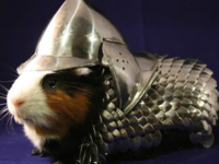 Guinea Pig Armor Charity Auction