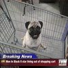 TVN Exclusive