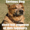 X Approves / Does Not Approve X Approves / Does Not Approve