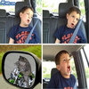 David After Dentist 4Pane