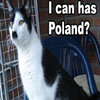 Kitler
