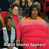 A wild Snorlax appears! A wild Snorlax appears!
