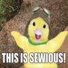 This is Sewious! This is Sewious!