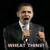 Wheat Thins Wheat Thins