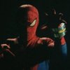 Toei Spider-Man / Spy Darma Toei Spider-Man / Spy Darma