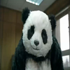 Never Say No to Panda Never Say No to Panda