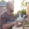 Cat Gun Cat Gun