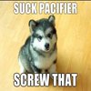 Baby Courage Wolf