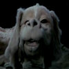 Pedo-Falkor Pedo-Falkor