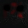 Cat.jpg Cat.jpg
