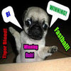 Winning Dog Winning Dog