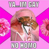 No Homo No Homo