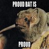 proud bat is proud proud bat is proud