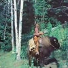 Guy On A Buffalo (Series)