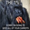 The 1% The 1%
