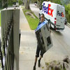 Fed-Ex Delivery Video Fed-Ex Delivery Video
