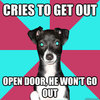 Dickhead Dog Dickhead Dog