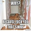 Why? Because fuck you, that's why. Why? Because fuck you, that's why.