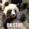 OH STOP PANDA OH STOP PANDA