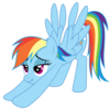 I Want to Cum Inside Rainbow Dash