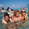 Stingray Photobomb Stingray Photobomb